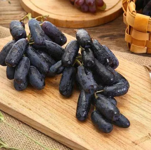 搶占致富先機 這水果看著像葡萄 卻比普通葡萄貴20倍 一斤賣100元