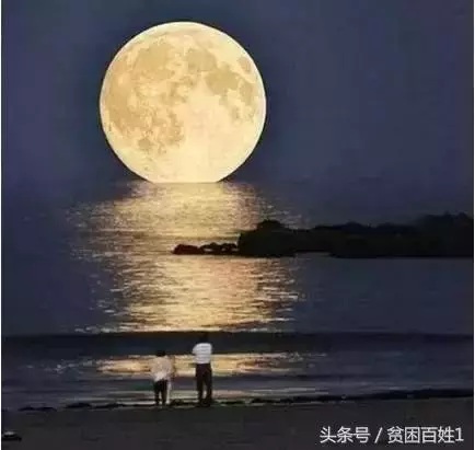 一碗面而已(看懂的人,了不起)!