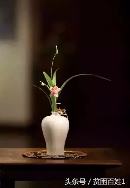 一碗面而已(看懂的人,了不起)!
