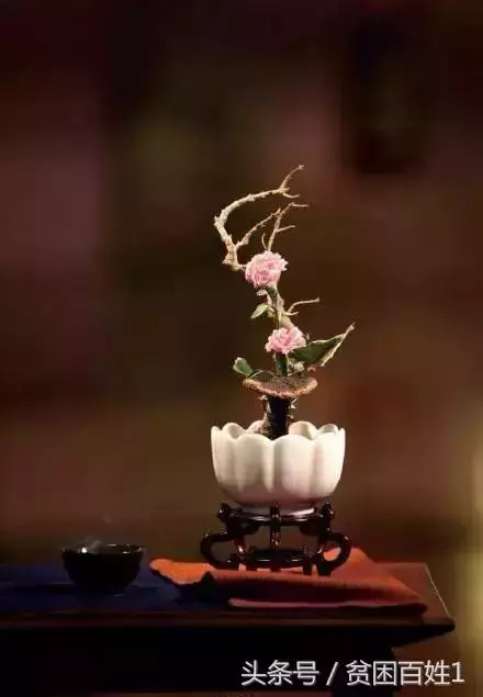 一碗面而已(看懂的人,了不起)!