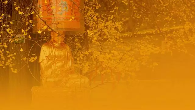 100句佛家經典名言,只希望能減輕你的痛苦