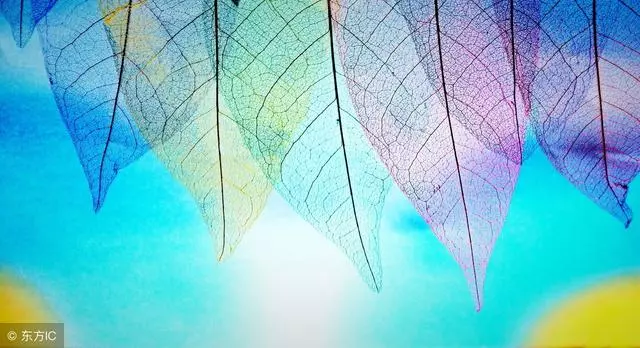 莫言15句人生真相:不要以為世界上的人,都在關心你的事
