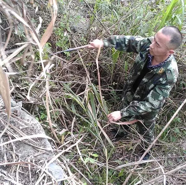 67歲失獨母親艱難試管孕雙胞胎,卻被醫院拒之門外!網友:讓她生