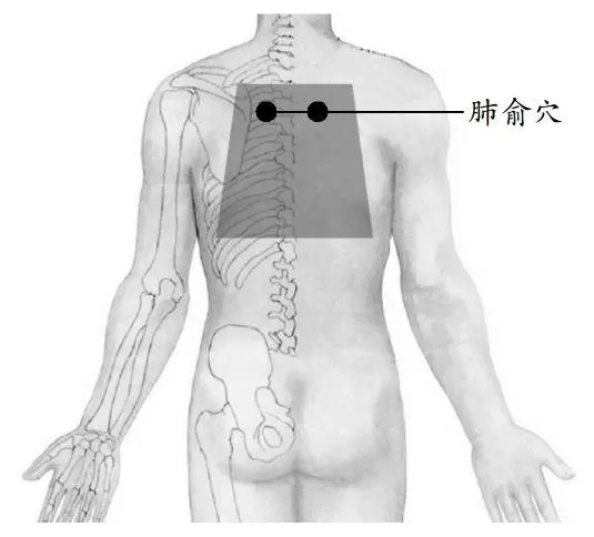 肺好不好,刮刮後背就知道!呼吸科醫生推薦一個養肺動作