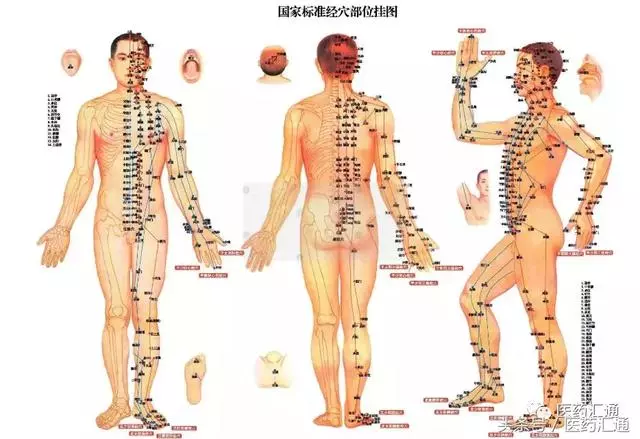 36個絕穴,個個都實用,趕緊收藏吧!