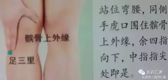 36個絕穴,個個都實用,趕緊收藏吧!