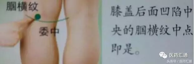 36個絕穴,個個都實用,趕緊收藏吧!