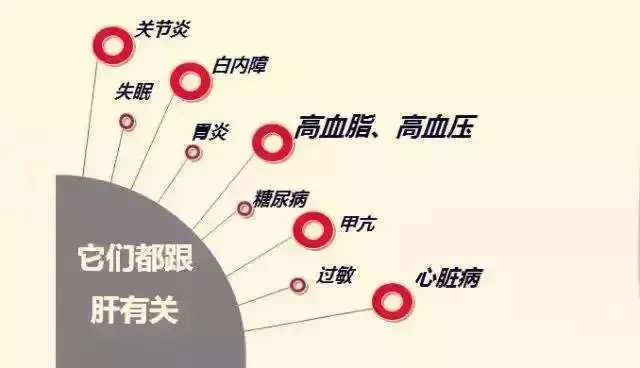 早敲膽經身體好,晚推肝經睡眠好