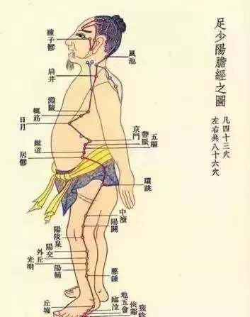 早敲膽經身體好,晚推肝經睡眠好