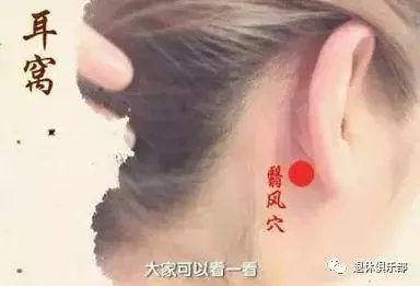 「健康」別小看身上9大「養生窩」,常揉疾病遠離你~