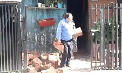 就算是養狗老司機,你也不一定知道狗還能這麼用