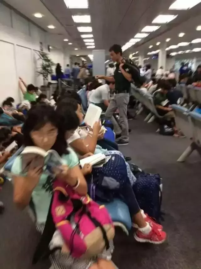 洛杉磯機場「日本學生vs中國學生」比較圖被網友瘋傳,素質高下立判!