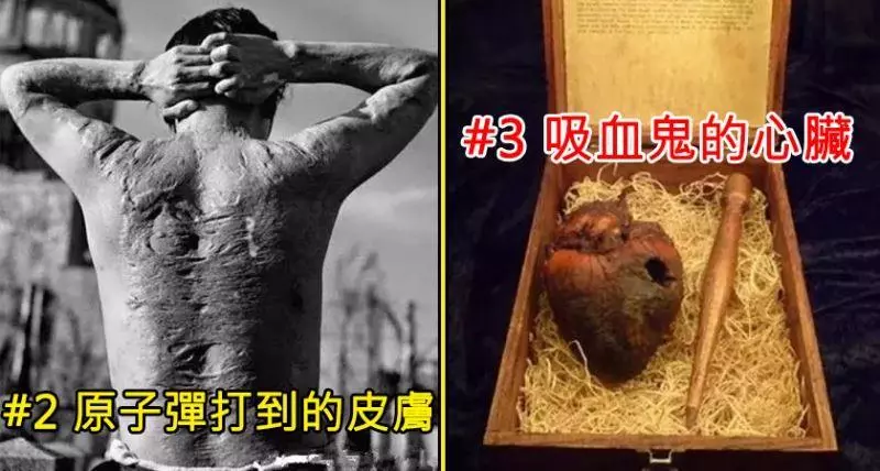 5張「一生可能看不到半次」的限定老照片,#5 雙頭貓令人懷疑世界