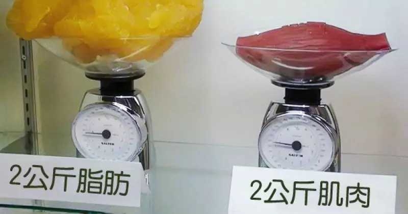 18張讓大家「以從未試過的角度看看知名生活事物另一面」的照片