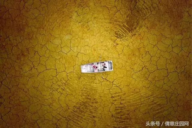 震撼人心的18張圖片,你能看懂幾張?