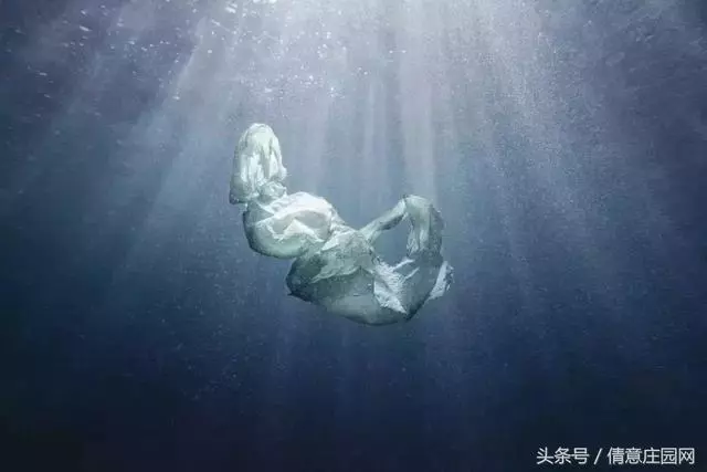 震撼人心的18張圖片,你能看懂幾張?