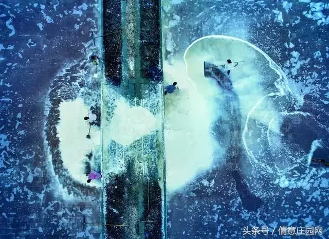 震撼人心的18張圖片,你能看懂幾張?