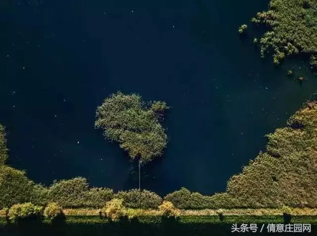 震撼人心的18張圖片,你能看懂幾張?