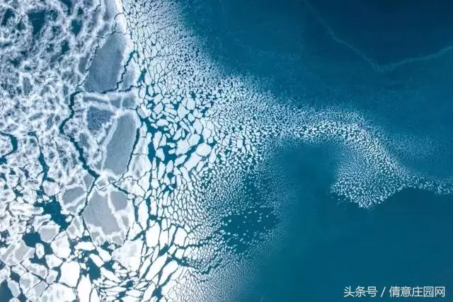 震撼人心的18張圖片,你能看懂幾張?