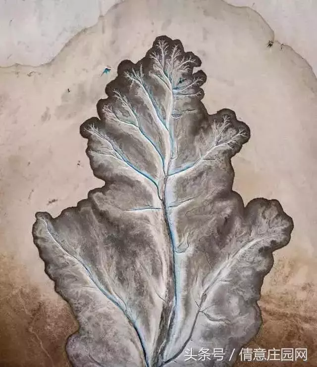 震撼人心的18張圖片,你能看懂幾張?