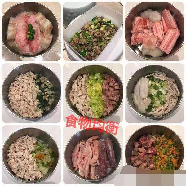 你家狗缺鈣嗎?狗狗出現這幾點症狀,都說明它該補鈣了