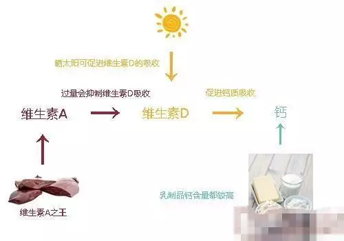 你家狗缺鈣嗎?狗狗出現這幾點症狀,都說明它該補鈣了
