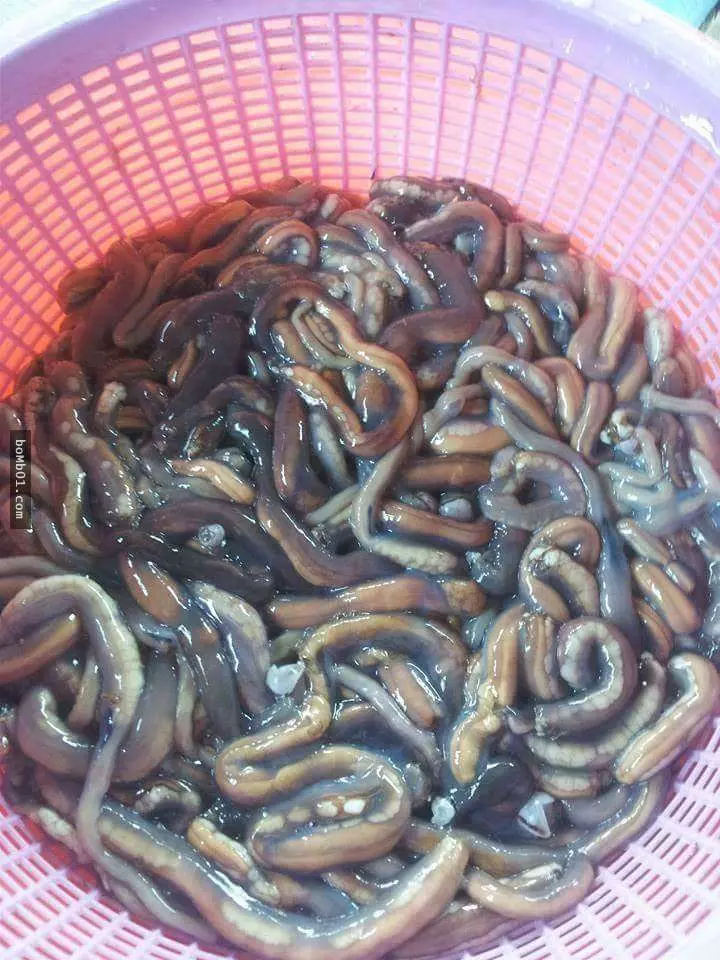 他劈開木頭發現裡面有「白色的東西」覺得超興奮,一口吃下去後馬上把其餘的拿去賣賺大錢!