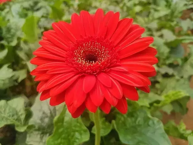 什麼都不在乎的人,才是無敵的