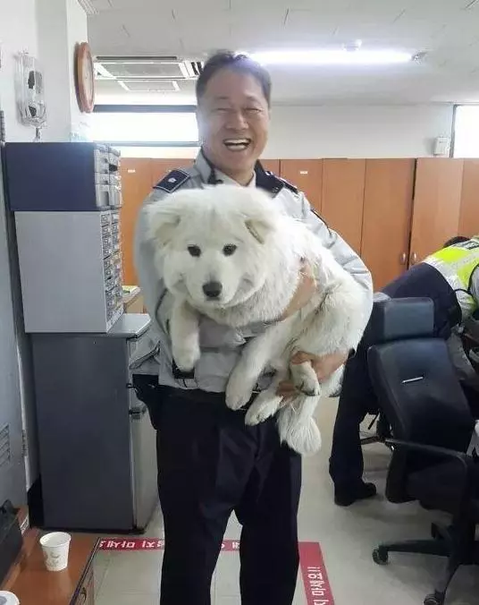 流浪小奶狗跑到警察局,沒想到長大後變身巨型大帥狗,成為可愛吉祥物