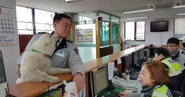 流浪小奶狗跑到警察局,沒想到長大後變身巨型大帥狗,成為可愛吉祥物