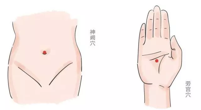 身體好不好,一個穴位來告訴你,長壽的秘訣都在這裡!
