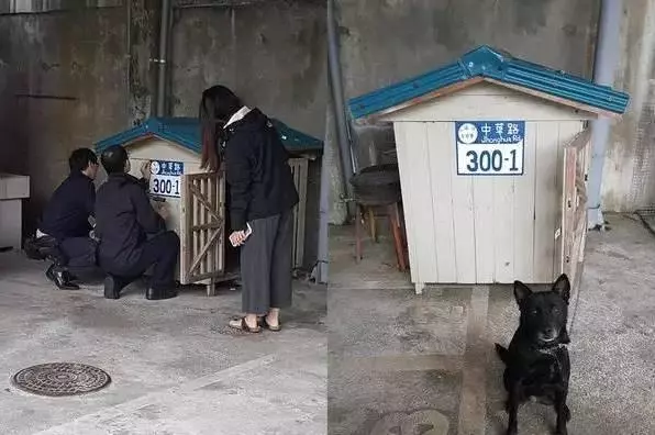 臺灣警犬去世,女警用有愛的方式送走狗狗,讓人看了溫暖!