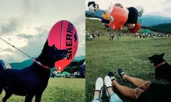 臺灣警犬去世,女警用有愛的方式送走狗狗,讓人看了溫暖!