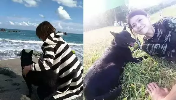 臺灣警犬去世,女警用有愛的方式送走狗狗,讓人看了溫暖!