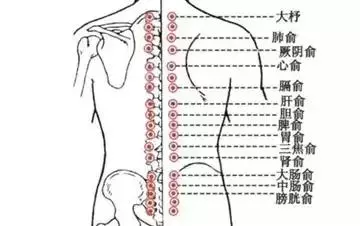 很全的艾灸取穴表!一表在手,艾灸不上愁