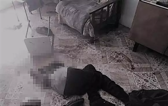 狗狗一反常態活活咬死主人,知道真相的人都說他死有餘辜!