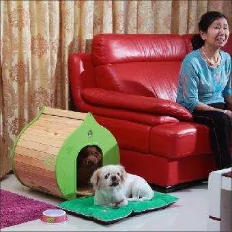 狗狗生病前都有哪些症狀,及時治療,效果更好