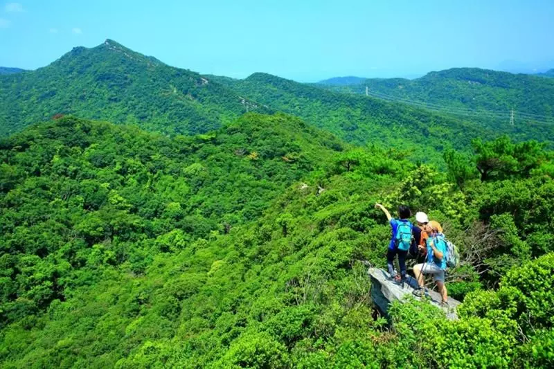 新北登山旅遊節　7條登山步道，連外國人都驚艷！