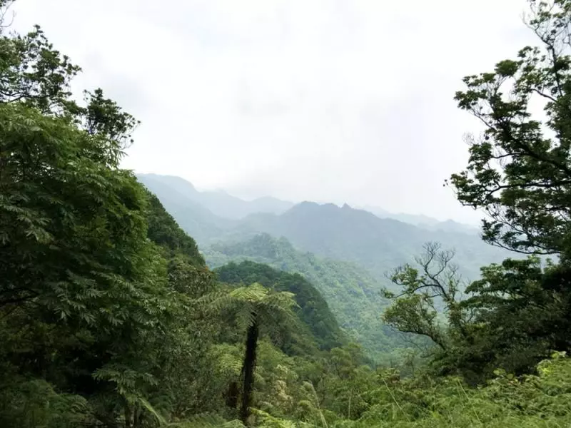 新北登山旅遊節　7條登山步道，連外國人都驚艷！