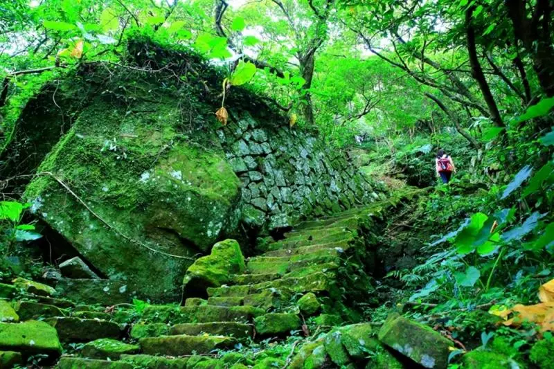 新北登山旅遊節　7條登山步道，連外國人都驚艷！