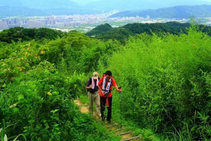 新北登山旅遊節　7條登山步道，連外國人都驚艷！
