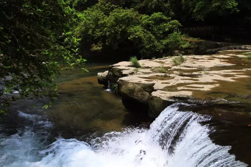新北登山旅遊節　7條登山步道，連外國人都驚艷！