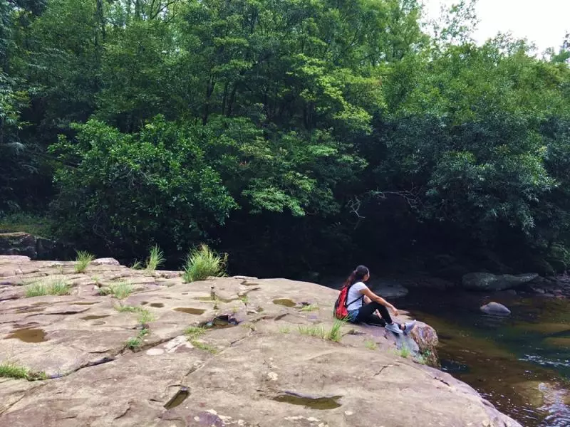新北登山旅遊節　7條登山步道，連外國人都驚艷！