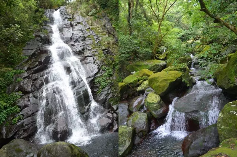 新北登山旅遊節　7條登山步道，連外國人都驚艷！