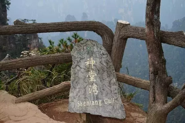 張家界神堂灣谷底有什麼秘密?至今無人敢去探險