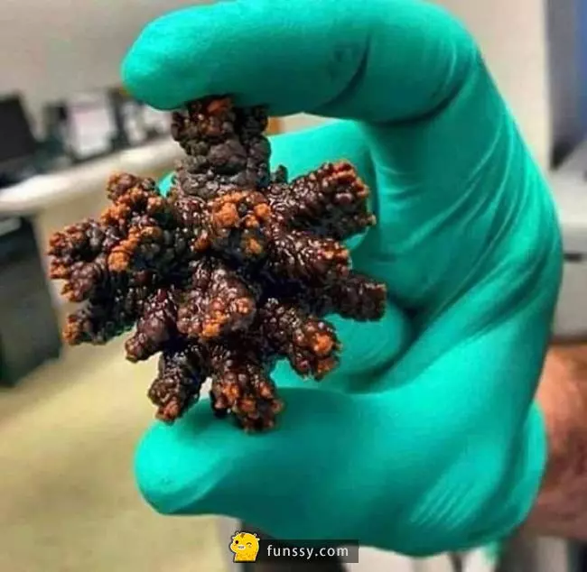 15張會讓你感慨「時間真的是過得超快」的超震撼真實照片
