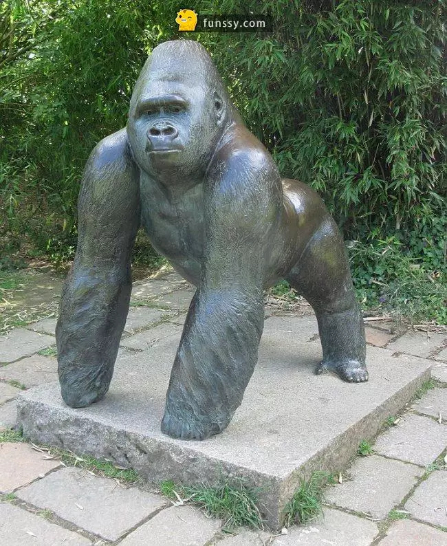 盤點史上7種「曾經救過人命」的英雄動物們!