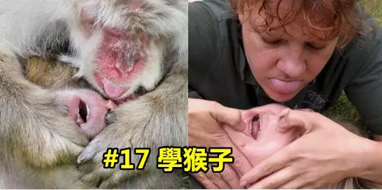 16張證明「動物管理員會變得越來越像動物」的超爆笑照片!