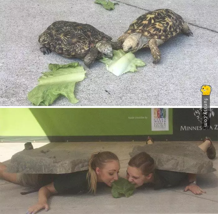 16張證明「動物管理員會變得越來越像動物」的超爆笑照片!