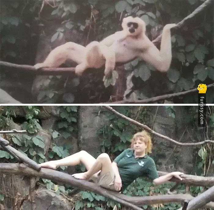 16張證明「動物管理員會變得越來越像動物」的超爆笑照片!
